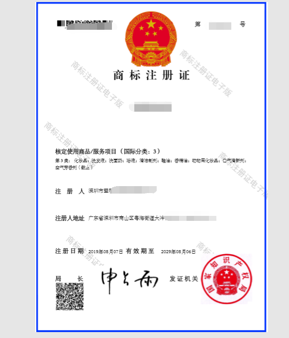 广东省深圳市南山区大冲某科技公司商标注册和设计